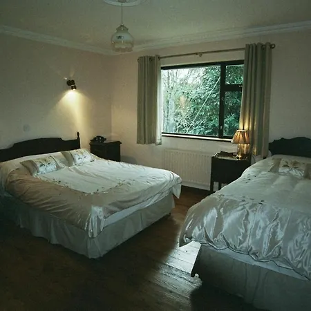 Carrickmourne House Nocleg ze śniadaniem 4*